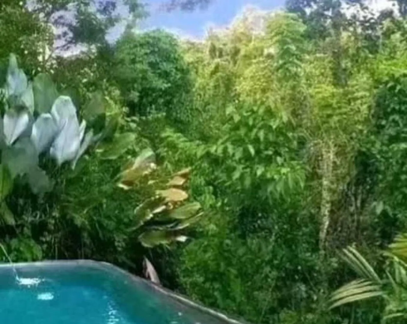 Pondok Kungkang Villa 2 Ubud 0*,